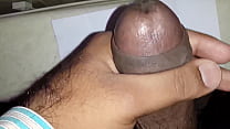 Indische sexy Schwanz
