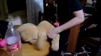 Horny scène garçon baise anal une chaude blonde ours en peluche drôle profiter