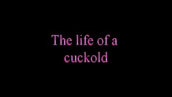 the life of a cuckold