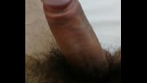 Hairy dick
