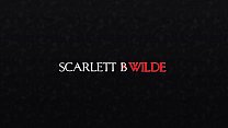 Scarlett B Wilde Blog  - BDSM - # 2 Negotiation