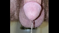 Closeup of My Cock as I pee into the toilet