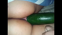 Safadinha Playing with Cucumber
