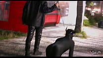 Master takes his pet dog for a walk in the City. P1