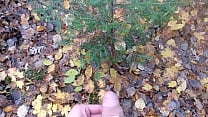 Auf Bäume gepisst: Herbstausgabe