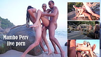 かわいいブラジル人ヘロア グリーンがビーチで 60 人以上の前で犯される (DAP、DP、アナル、野外セックス、モンスター コック、BBC、ビーチでの DAP。未編集、生、盗撮) OB237