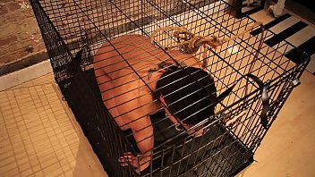 Caged Tease for a Caged Slave!